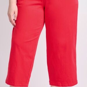 Women's Red Pants from Stitch Fix